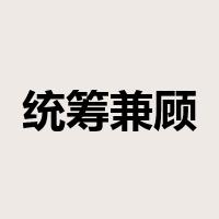 统筹兼顾是什么意思