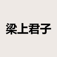 梁上君子是什么意思