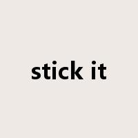 stick it是什么意思
