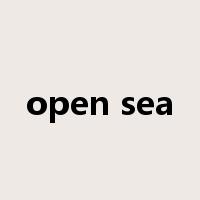open sea是什么意思