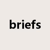 briefs是什么意思