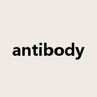 antibody是什么意思