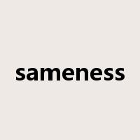 sameness是什么意思