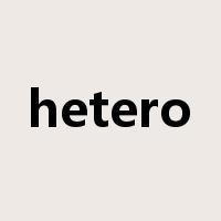 hetero是什么意思