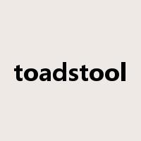 toadstool是什么意思