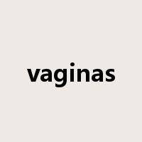 vaginas是什么意思
