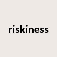 riskiness是什么意思