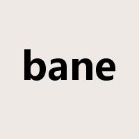 bane是什么意思