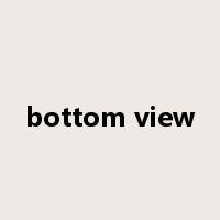 bottom view是什么意思