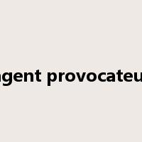agent provocateur是什么意思