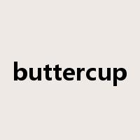 buttercup是什么意思