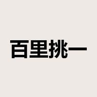 百里挑一是什么意思