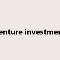 venture investment是什么意思