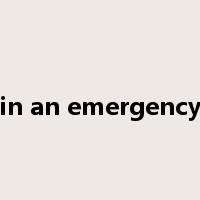 in an emergency是什么意思
