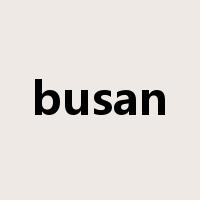 busan是什么意思