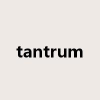 tantrum是什么意思
