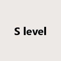 S level是什么意思