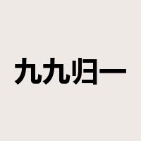 九九归一是什么意思