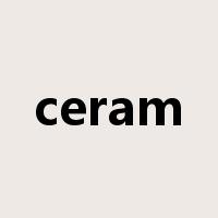 ceram是什么意思
