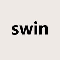 swin是什么意思