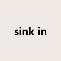 sink in是什么意思