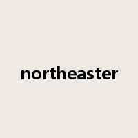 northeaster是什么意思