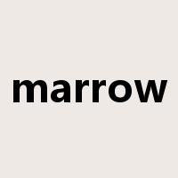 marrow是什么意思