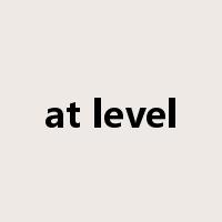 at level是什么意思
