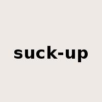 suck-up是什么意思
