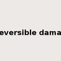 irreversible damage是什么意思