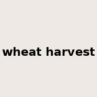 wheat harvest是什么意思