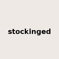 stockinged是什么意思