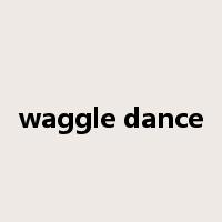 waggle dance是什么意思