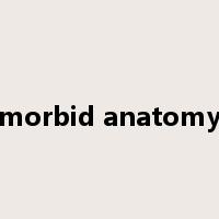morbid anatomy是什么意思