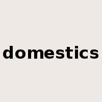 domestics是什么意思