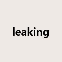 leaking是什么意思
