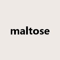 maltose是什么意思