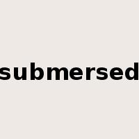 submersed是什么意思