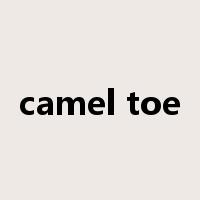camel toe是什么意思