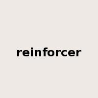reinforcer是什么意思