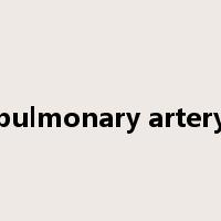 pulmonary artery是什么意思