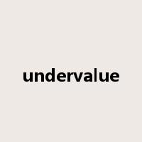 undervalue是什么意思