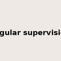 regular supervision是什么意思