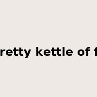 a pretty kettle of fish是什么意思