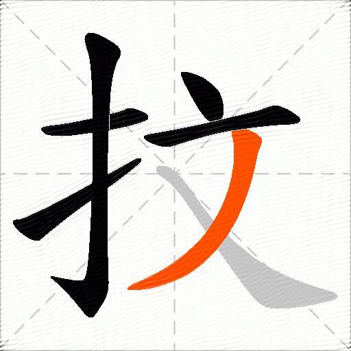 抆