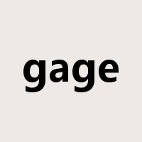 gage是什么意思