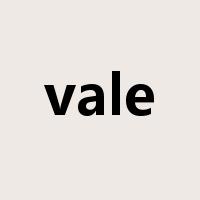 vale是什么意思