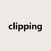 clipping是什么意思