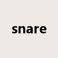snare是什么意思