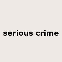 serious crime是什么意思